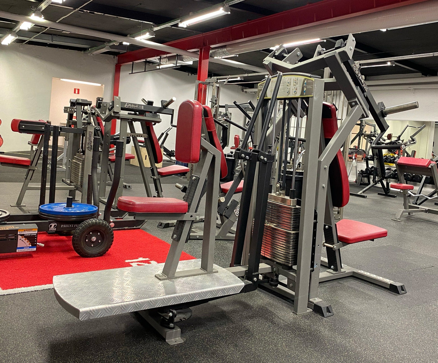 333 Rear Deltoid Shoulder