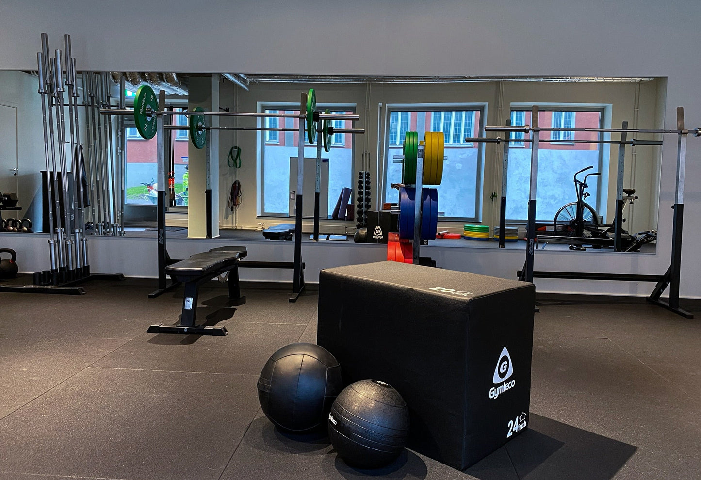 Bench Press/Squat Rack (Home Gym)