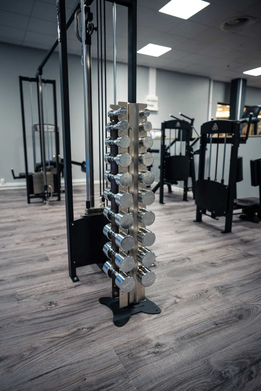 Chrome Dumbbells 1-10 kg