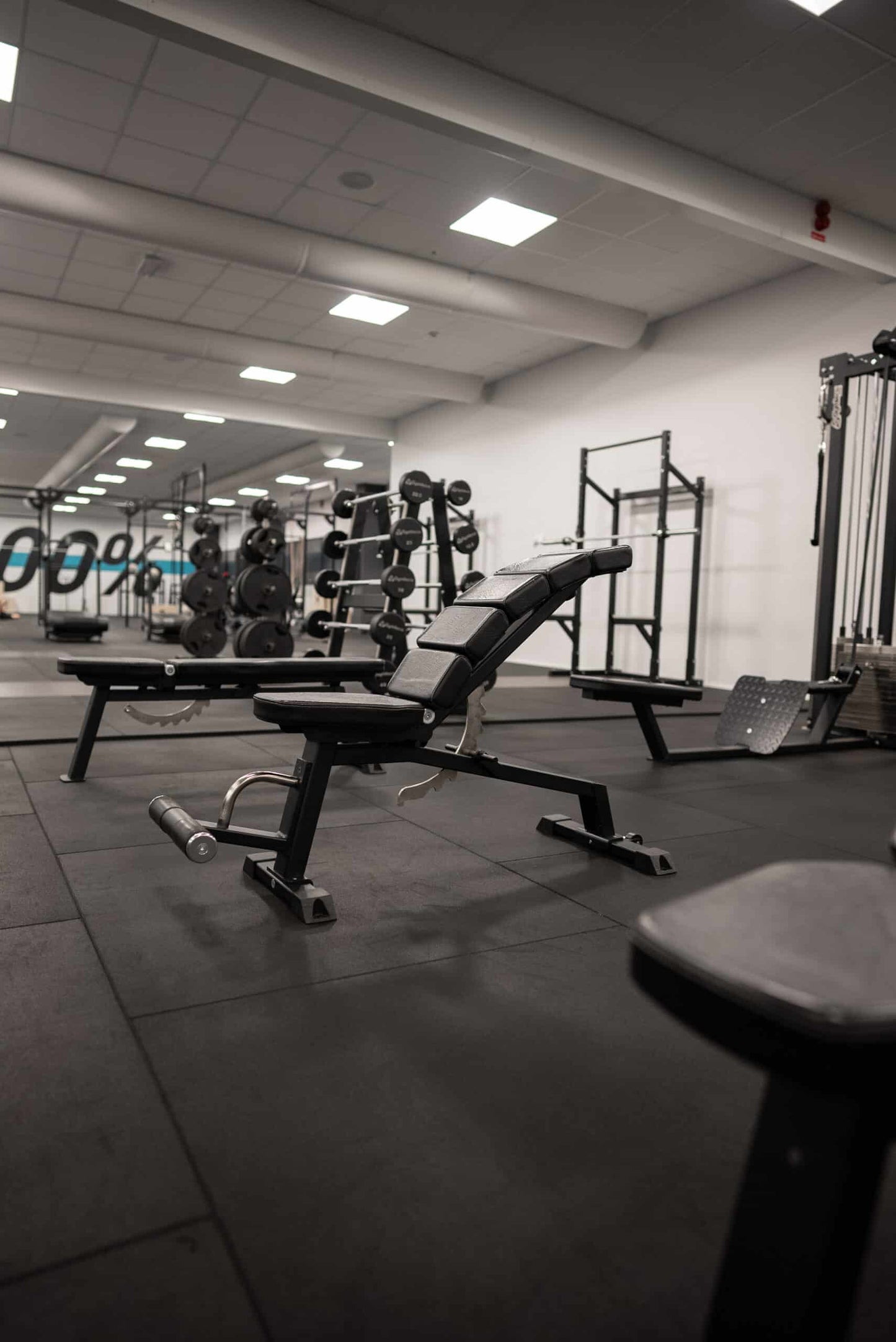 Adjustable Decline Bench Curved