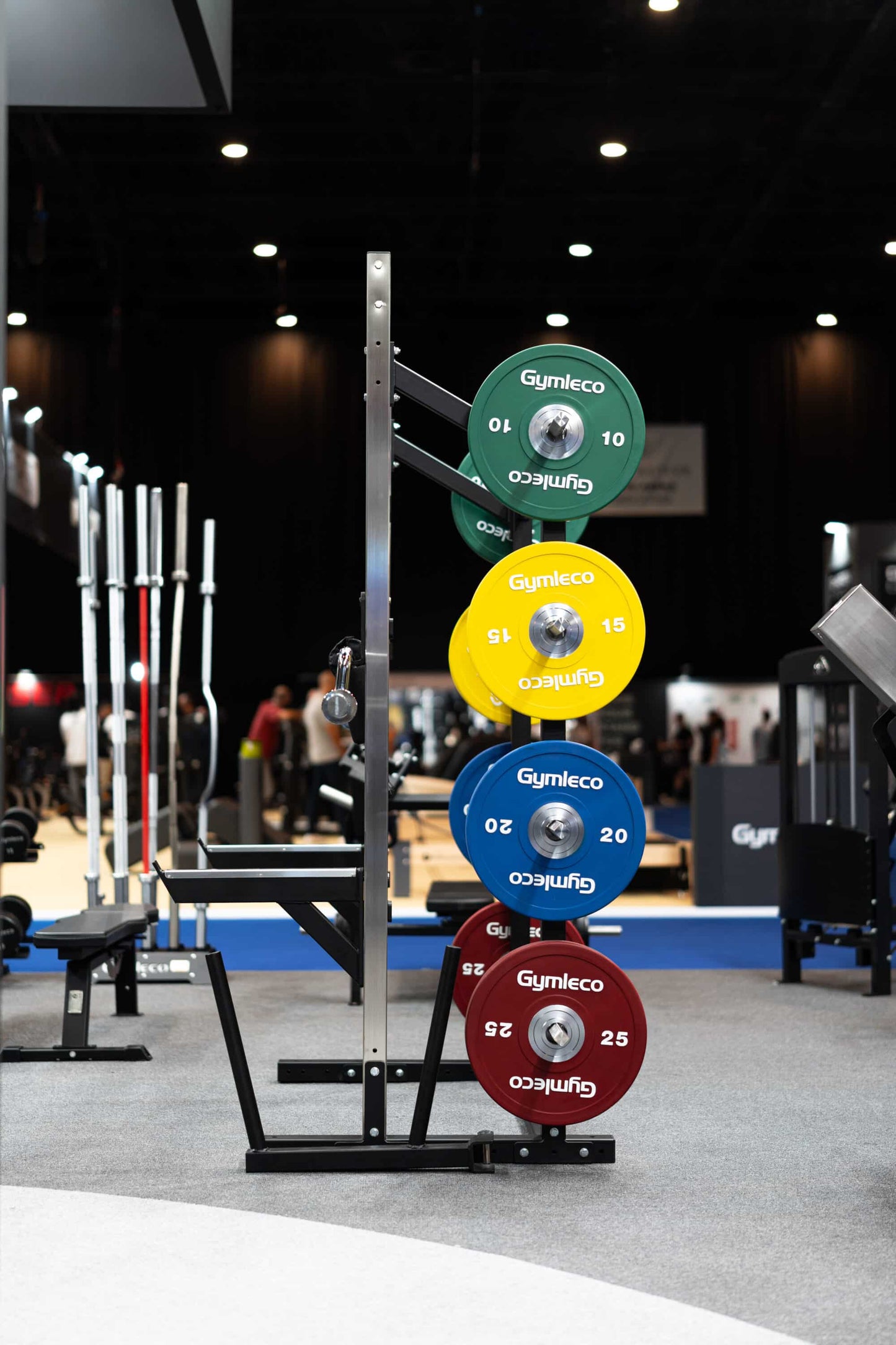 Colored Weight Plates in Rubber