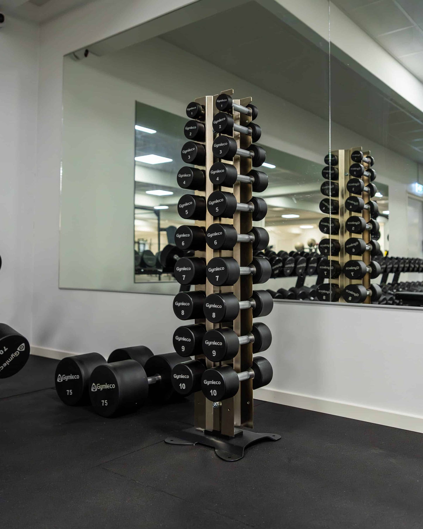 Polyurethane Dumbbells 1-10 kg