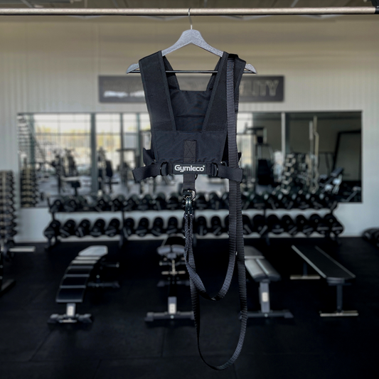 harness for sled with ropes