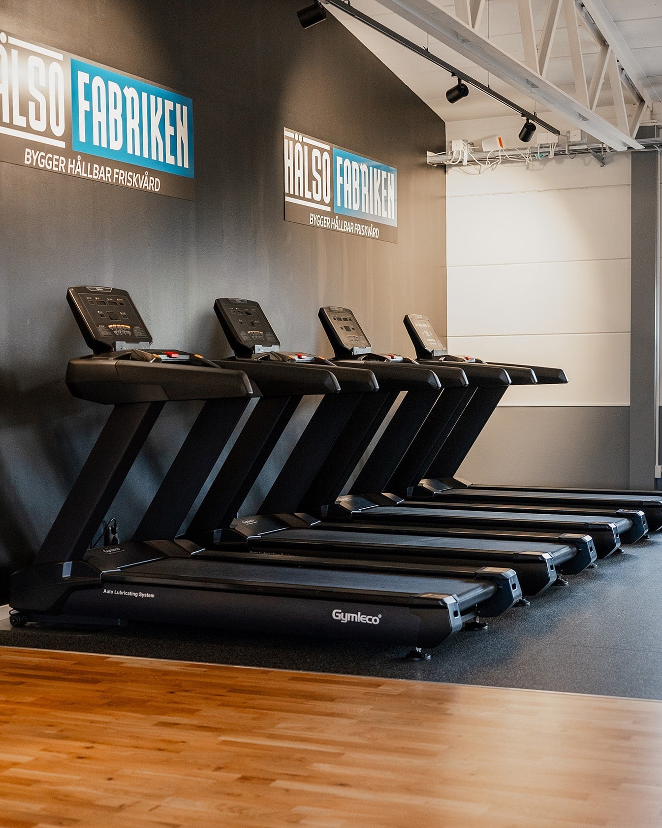 Commercial Large Treadmill, with self-lubrication