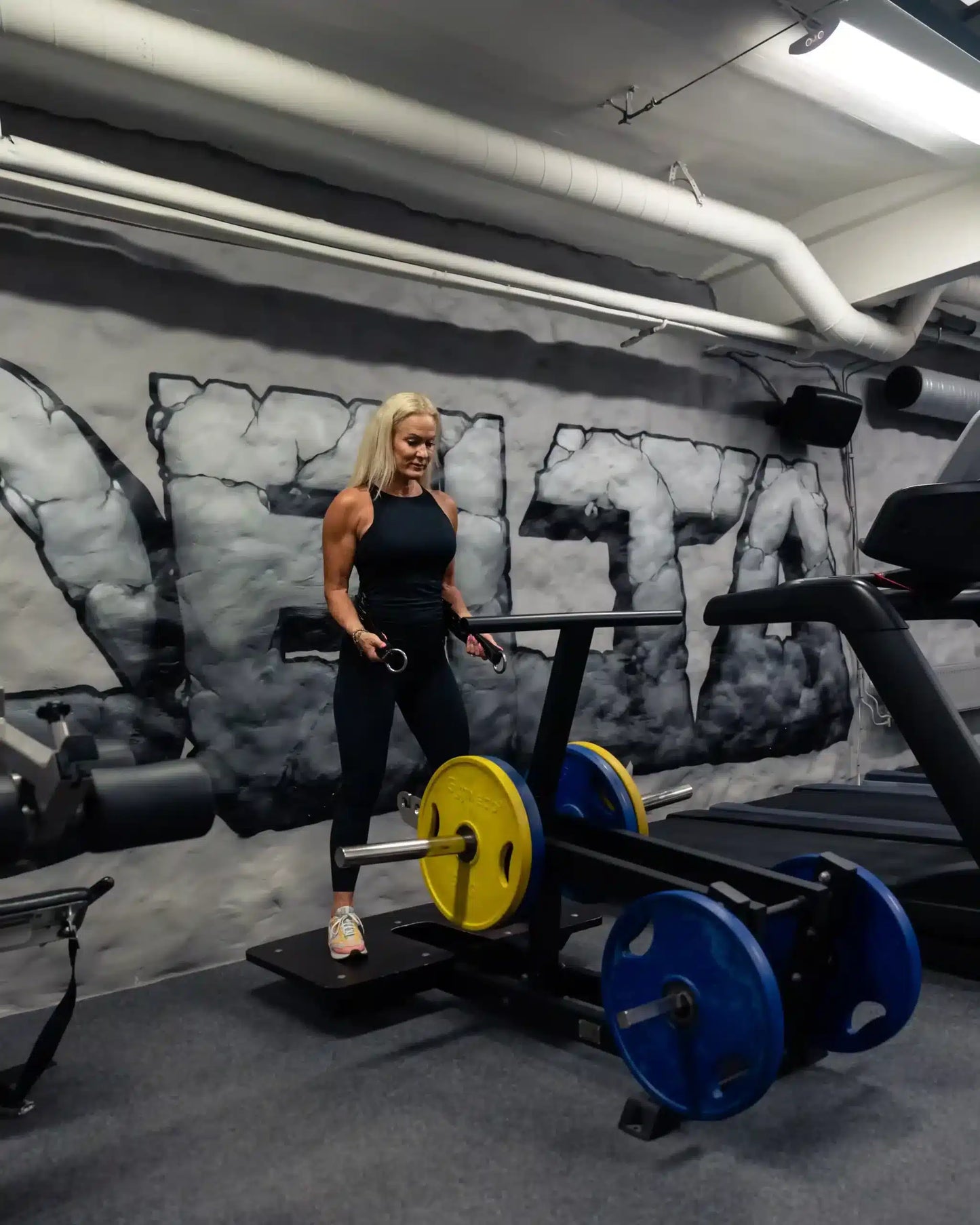 082 Belt Squat Machine