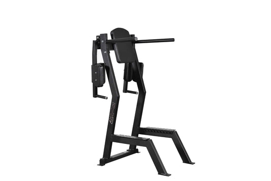 Leglift with Dip Bar