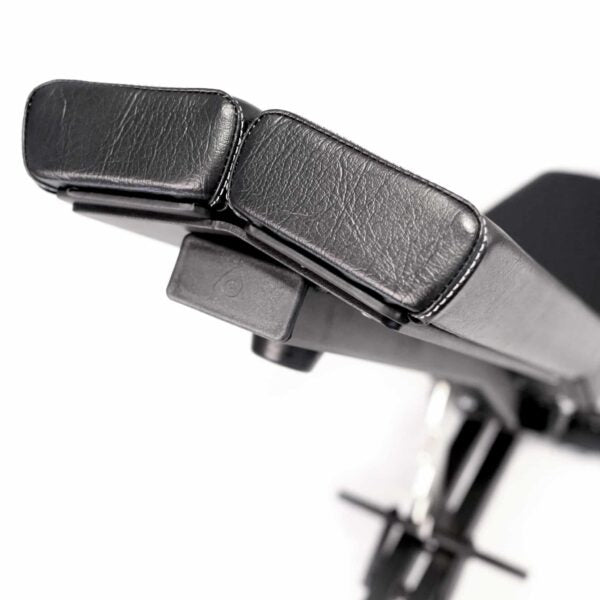 Adjustable Dumbbell Exercise Bench