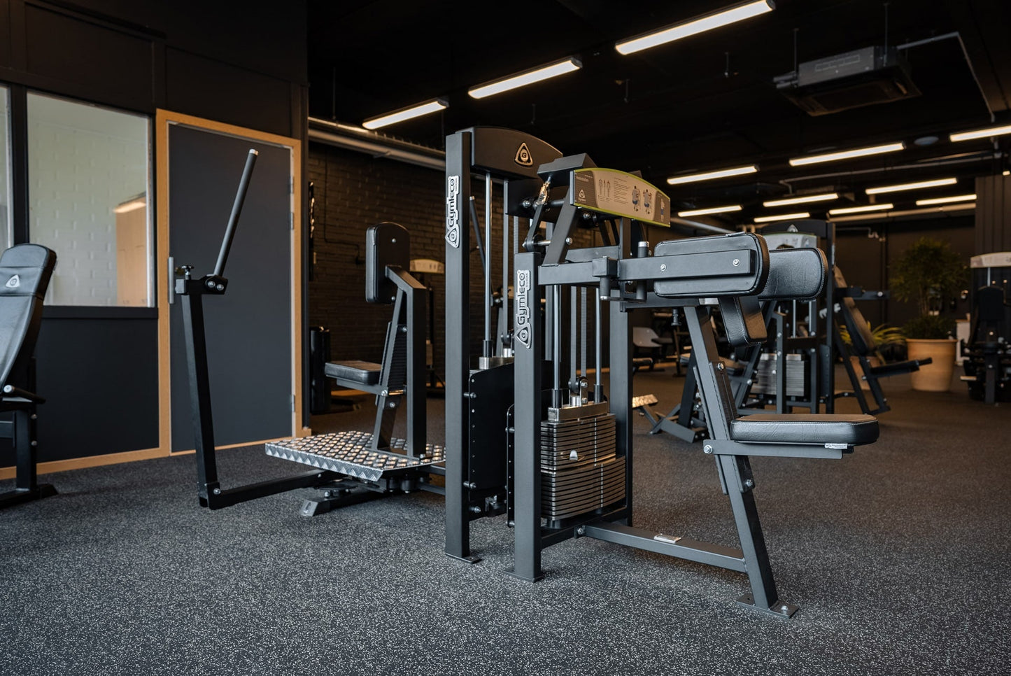 331 Shoulder Rotation