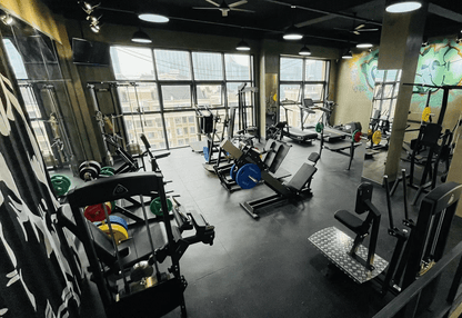 333 Rear Deltoid Shoulder