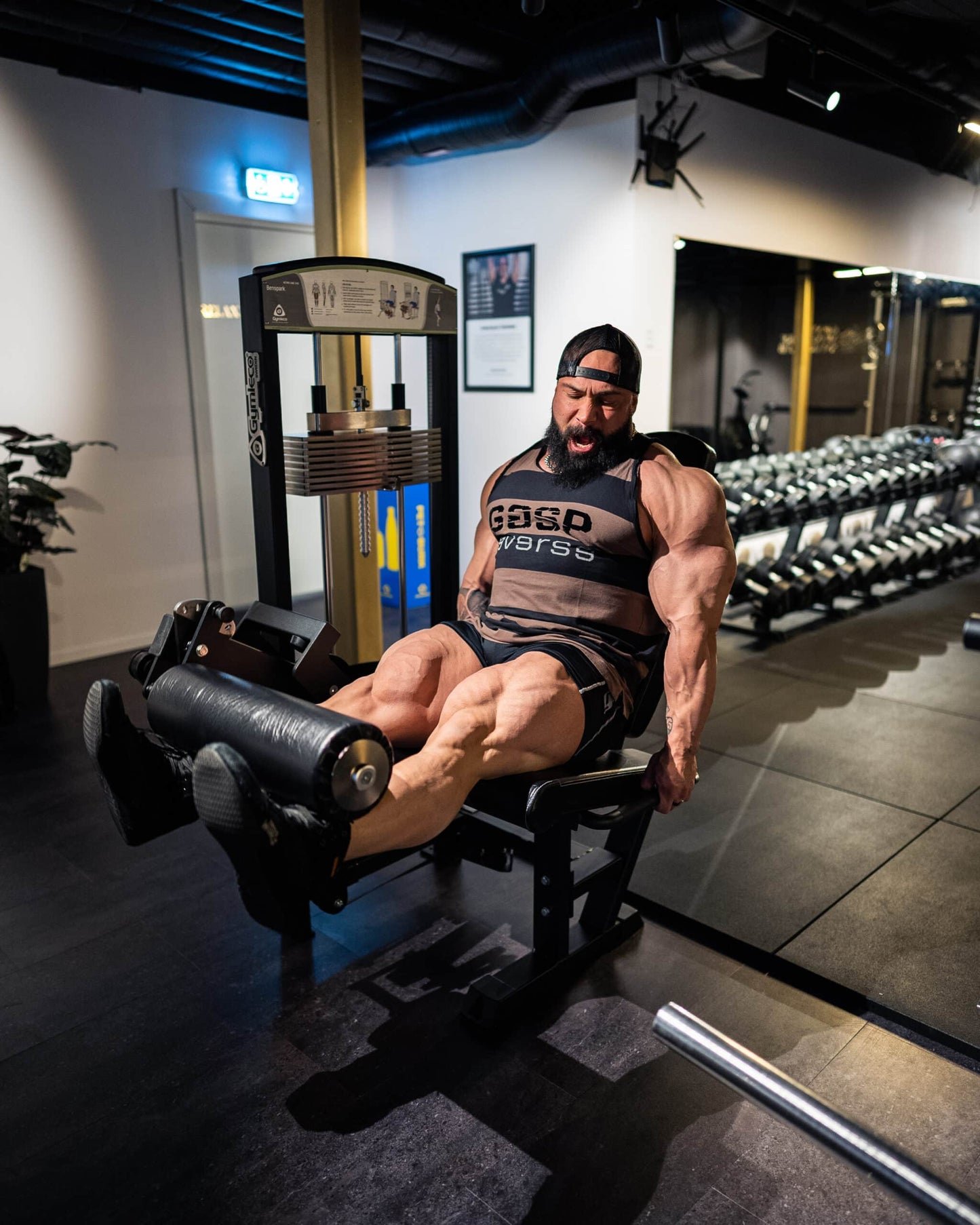 340R Leg Extension, Rehab