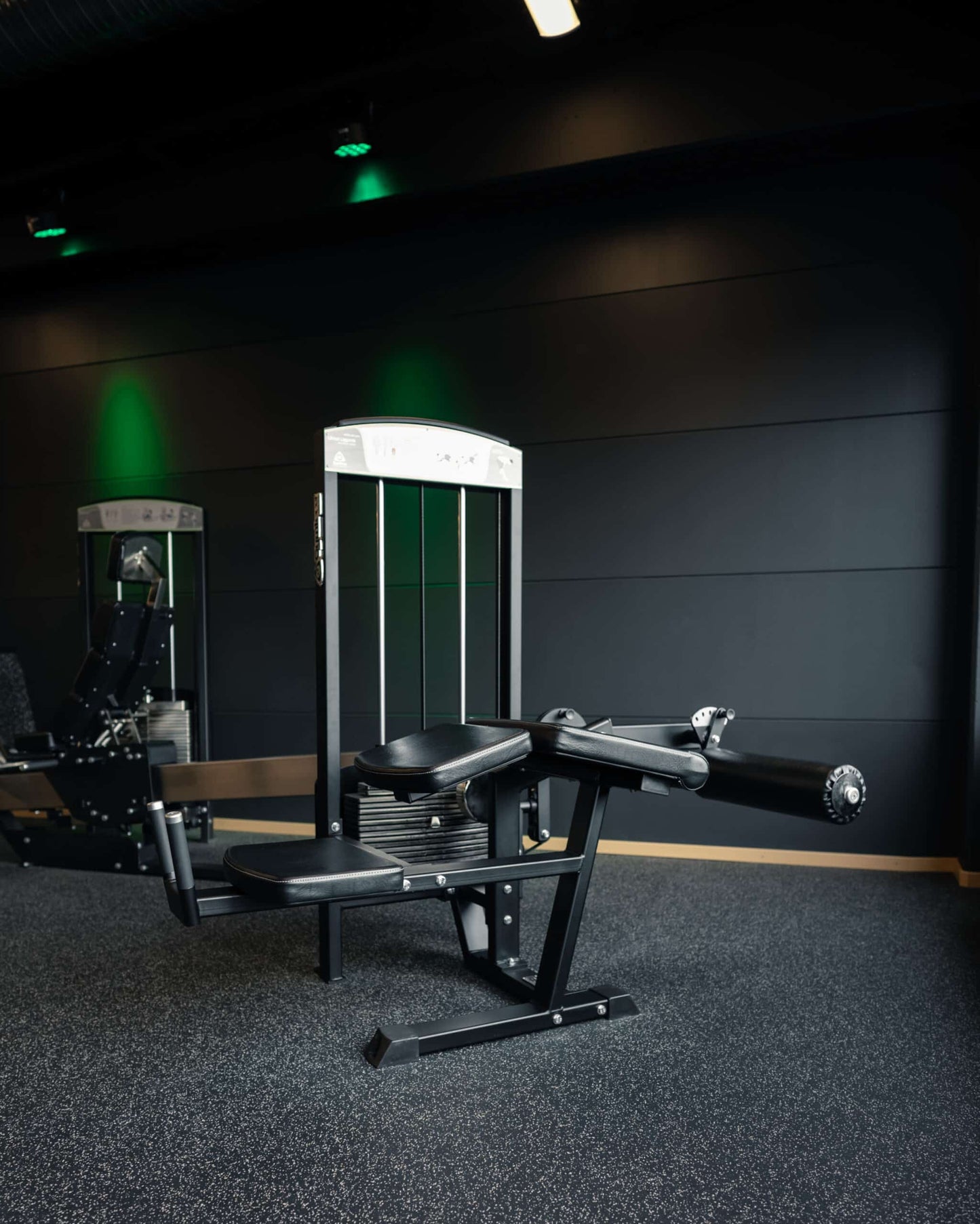 342R Lying Leg Curl, Adjustable