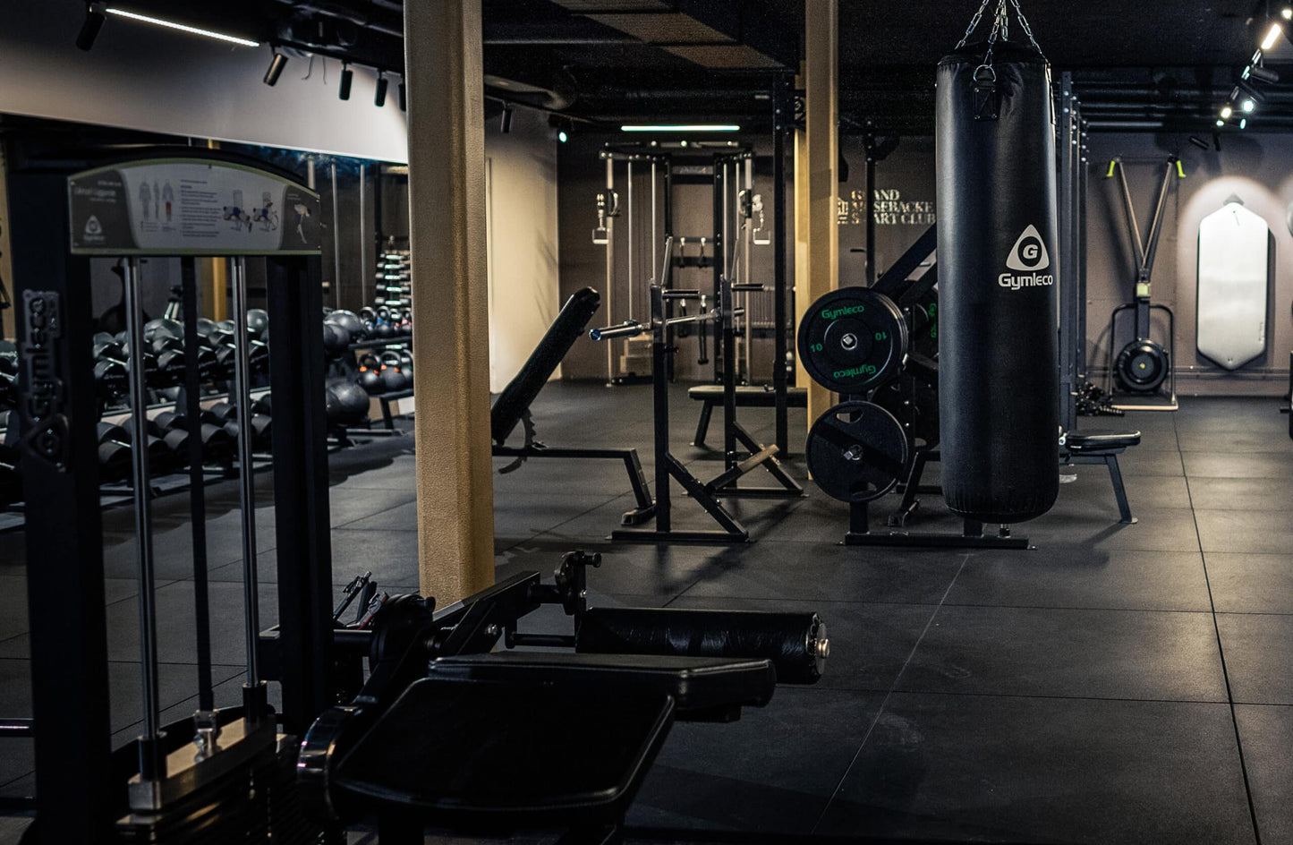 342R Lying Leg Curl, Adjustable