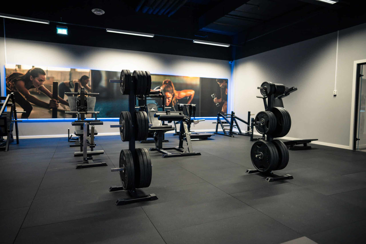 Black Weight Plates in Rubber with Handles