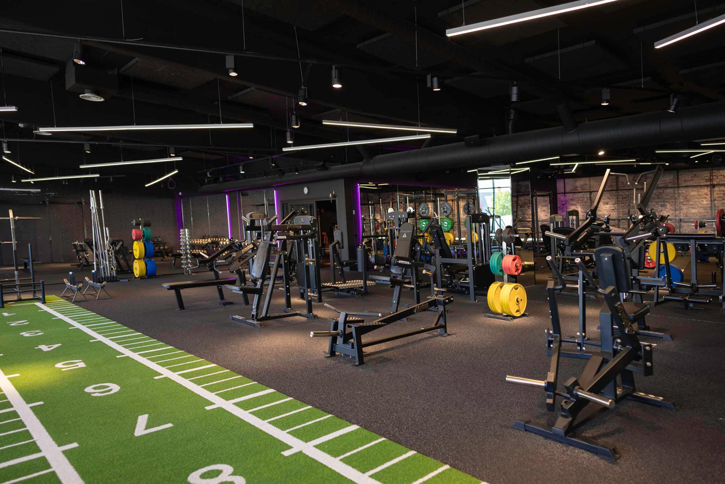 Colored Weight Plates in Rubber with Handles