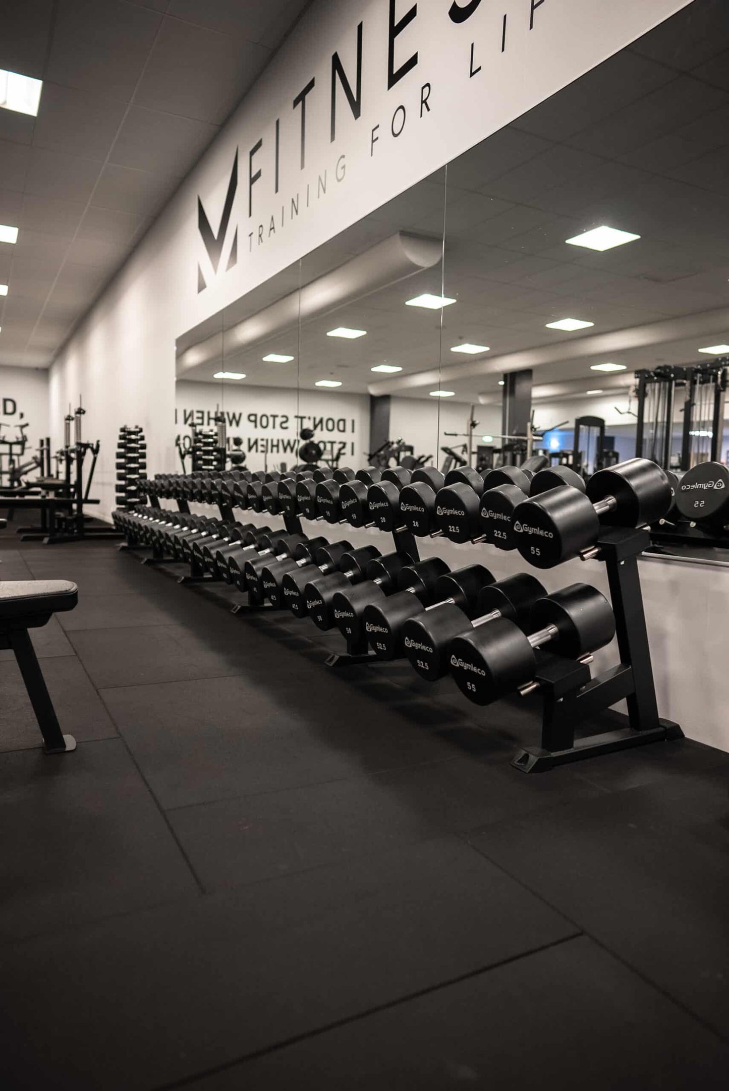 Dumbbell Rack, 10 Pairs, 2.4 m