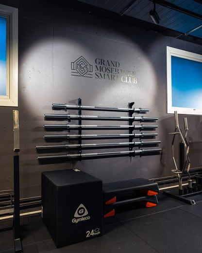 Wall Mounted Barbell Rack