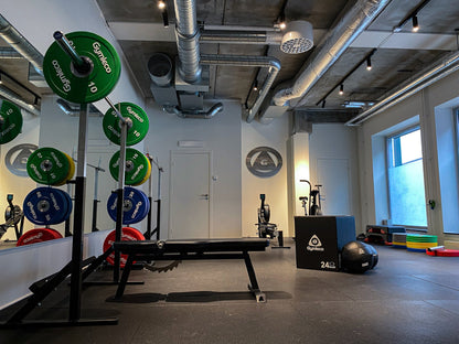 Bench Press/Squat Rack (Home Gym)