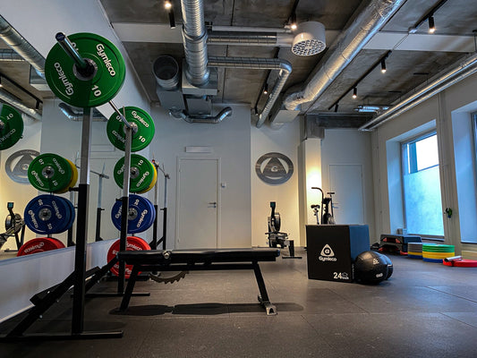 Bench Press/Squat Rack (Home Gym)