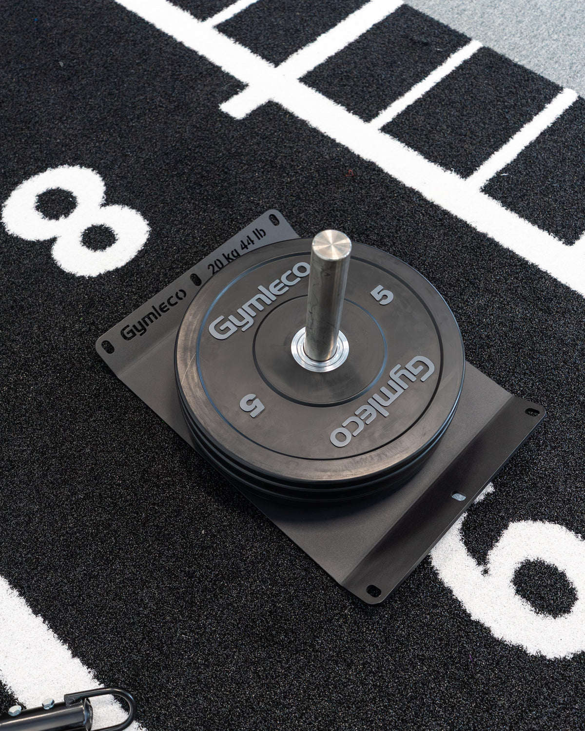 Gymleco 884 Sled klein im Einsatz