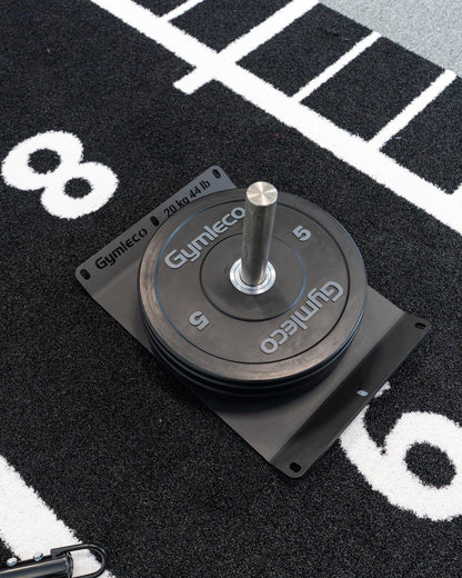 Gymleco 884 Sled klein im Einsatz