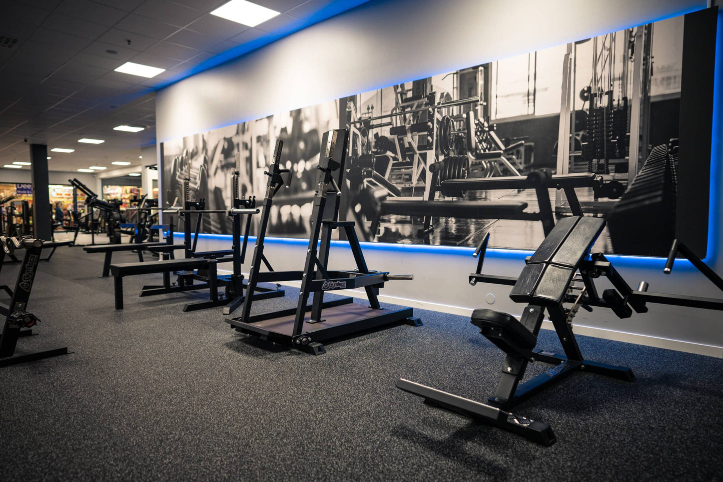 028 Standing Chest Press