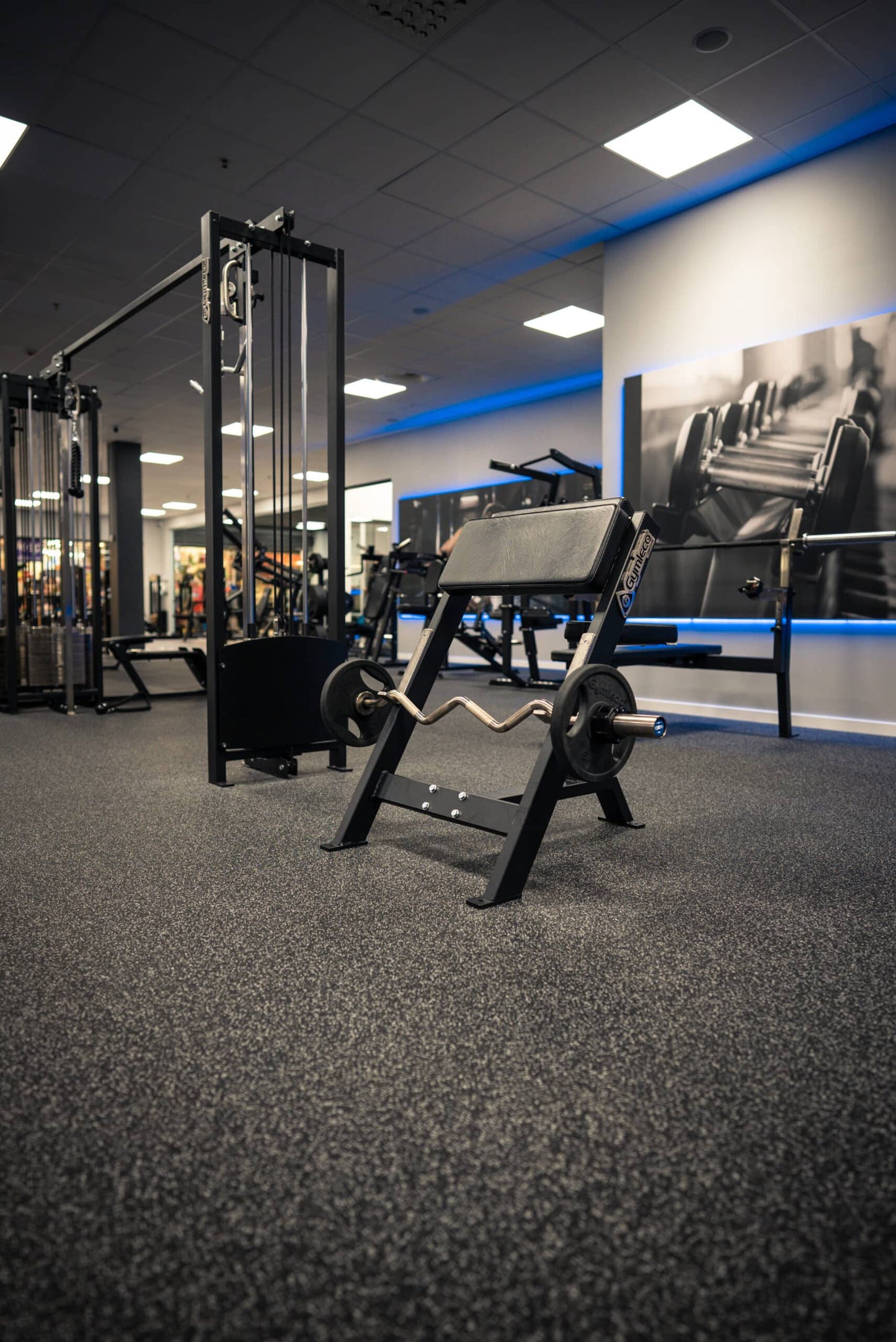 Seated Scott Curl Bench