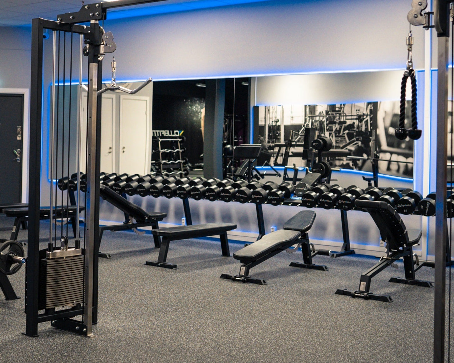 Adjustable Decline Bench