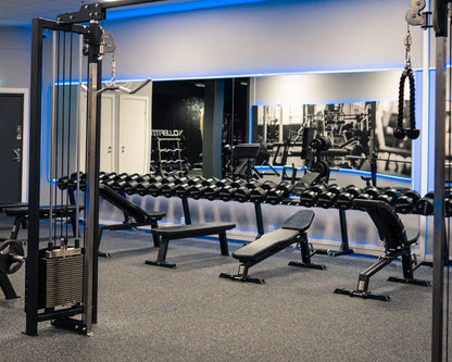 Adjustable Decline Bench