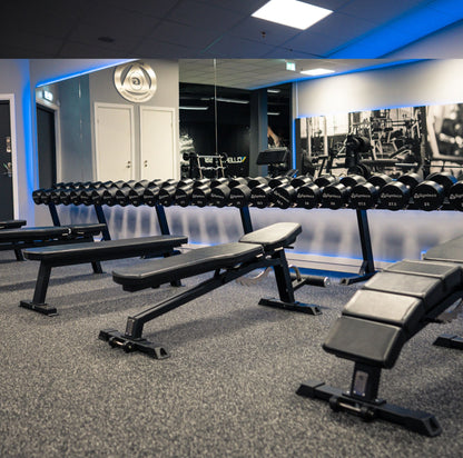 Adjustable Decline Bench