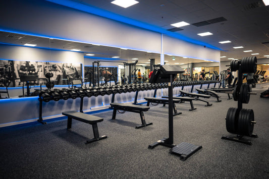 Standing Scott Curl Bench