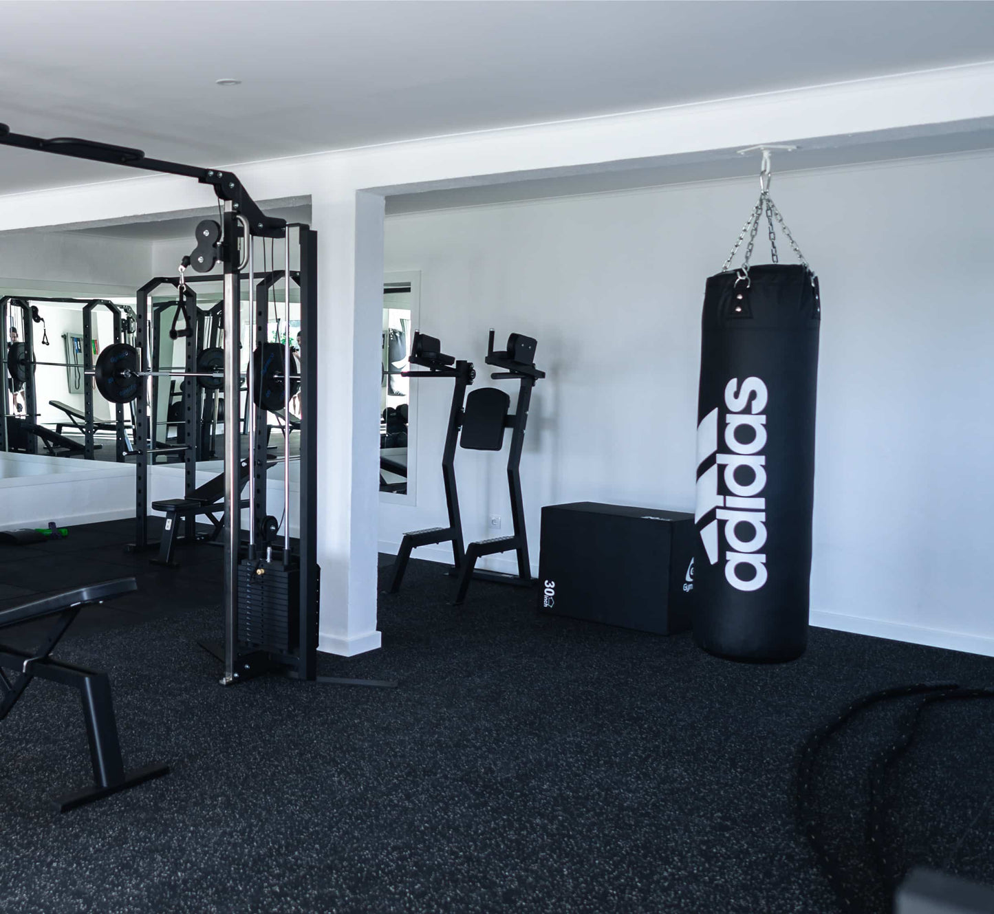 Leglift with Dip Bar