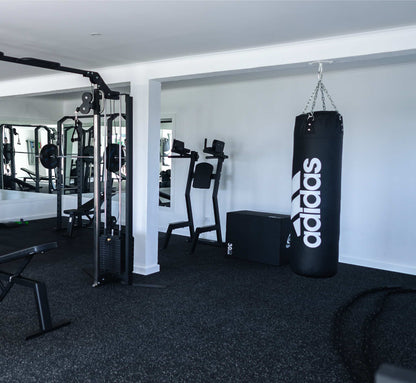 Leglift with Dip Bar