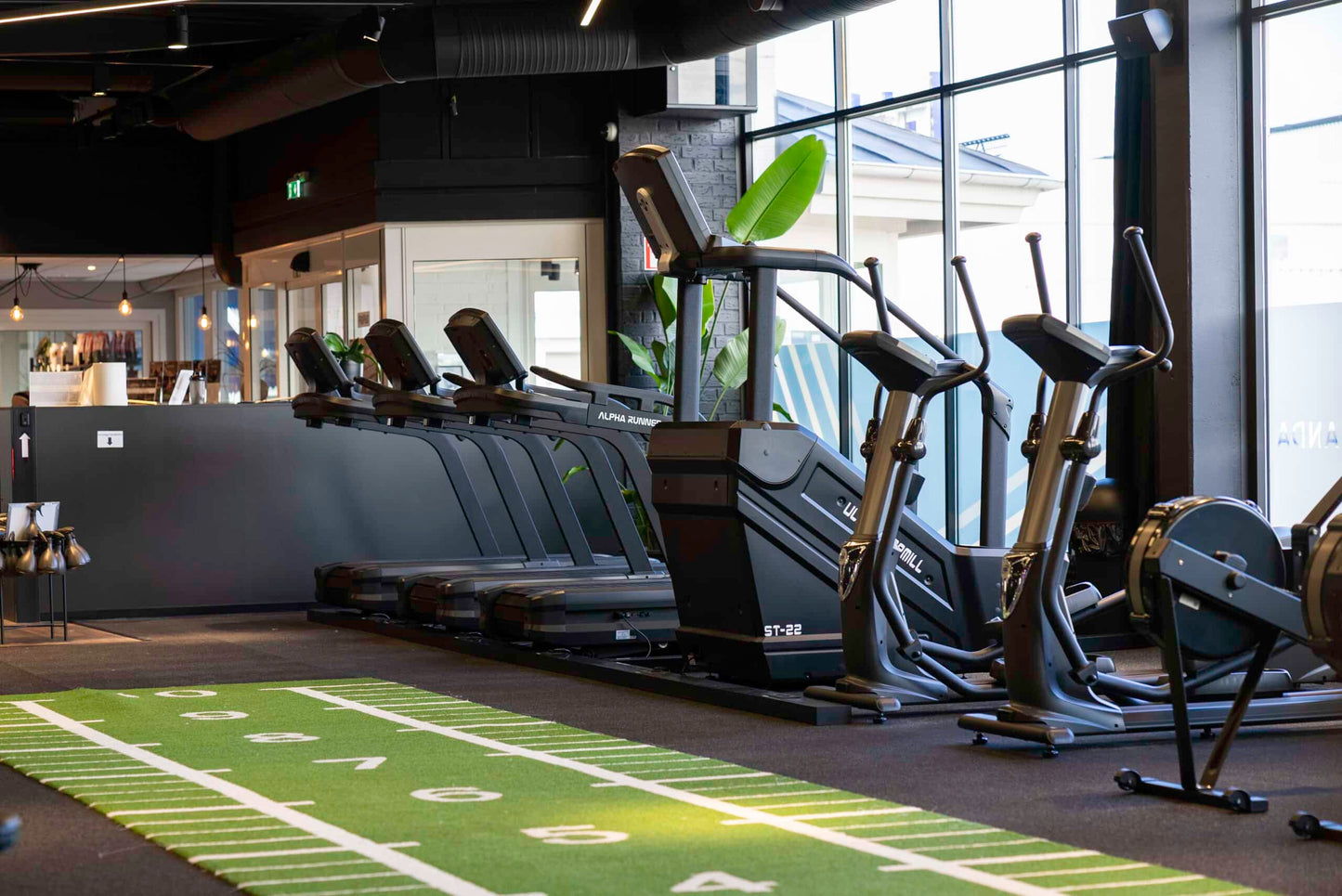 Alpha Runner, Commercial Treadmill