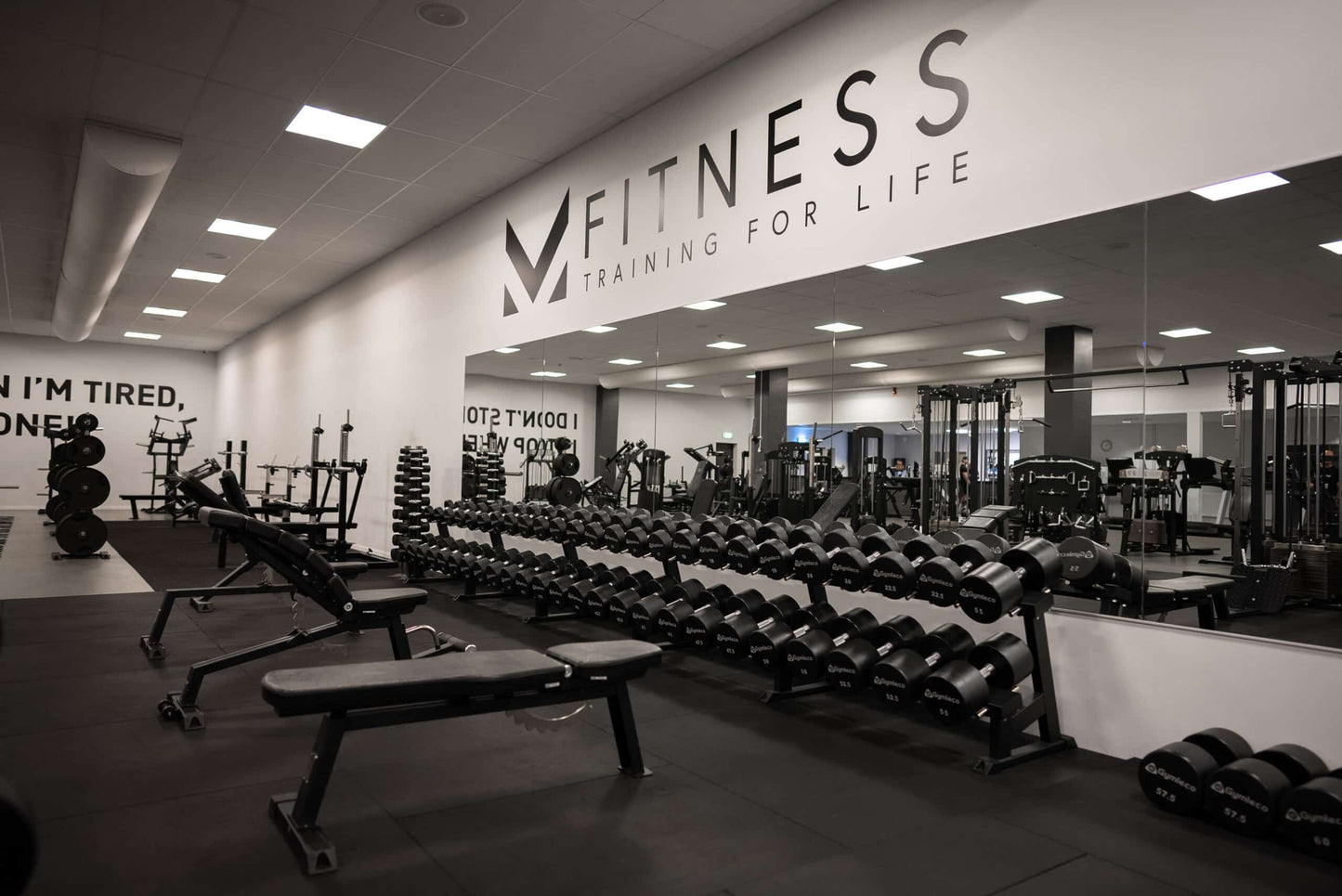 Adjustable Gym Bench