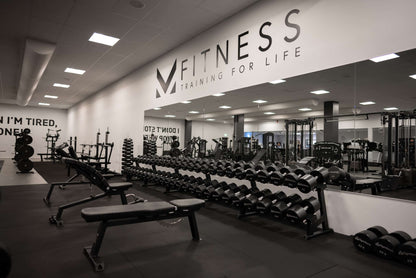 Adjustable Gym Bench