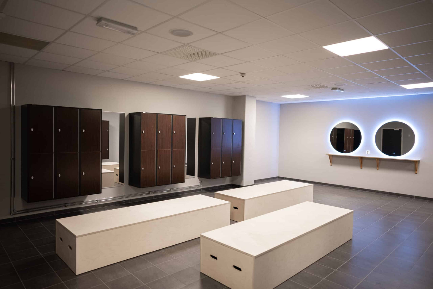 Gym Locker, 4 N-shaped doors