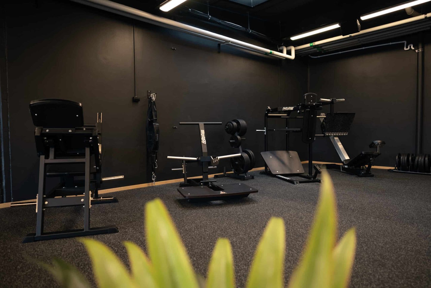 082 Belt Squat Machine