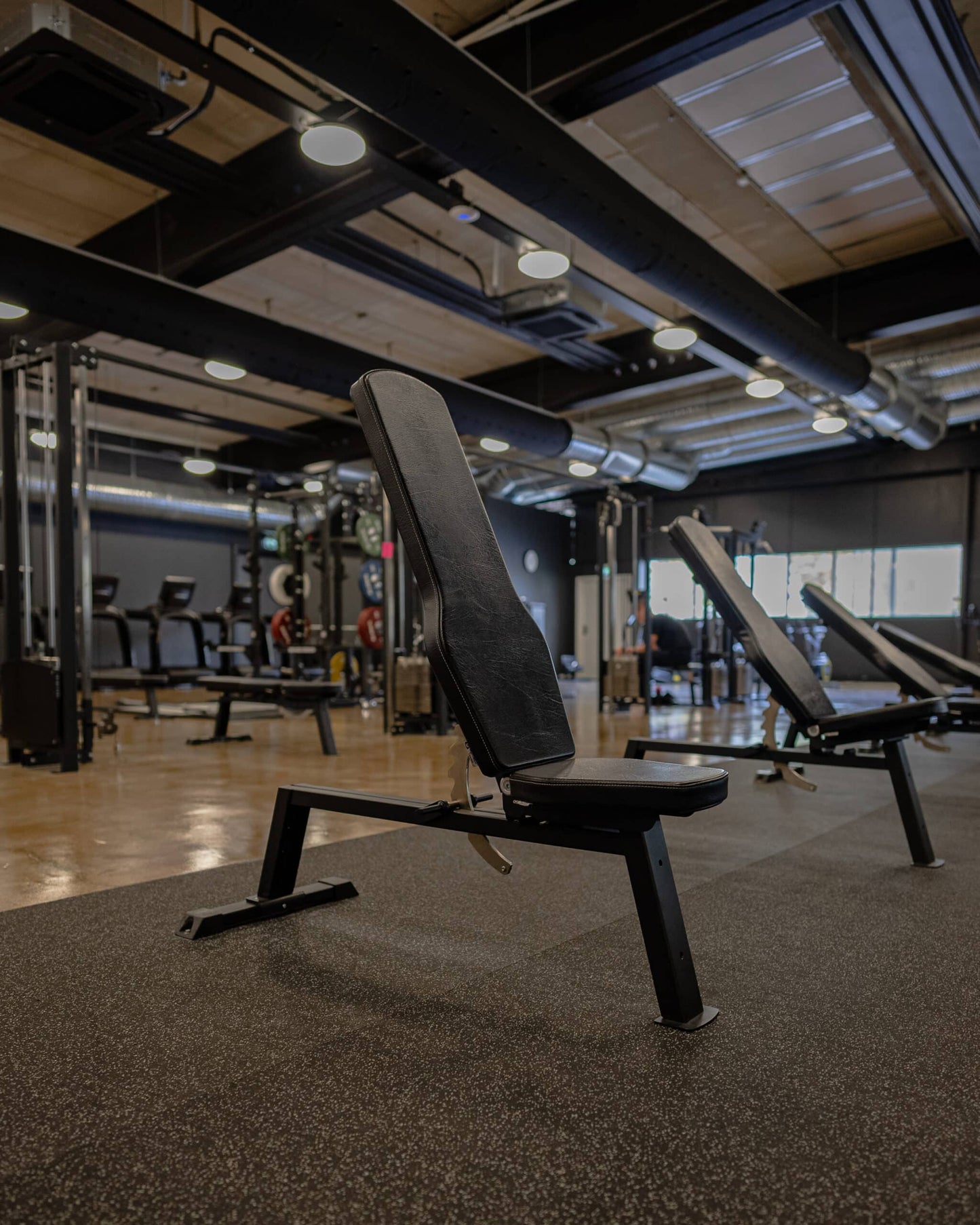 Adjustable Gym Bench