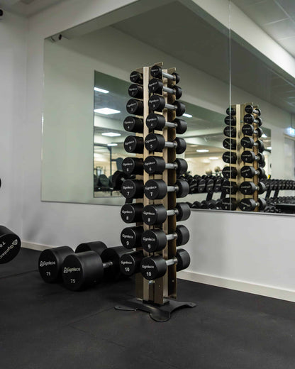 Polyurethane Dumbbells 1-10 kg