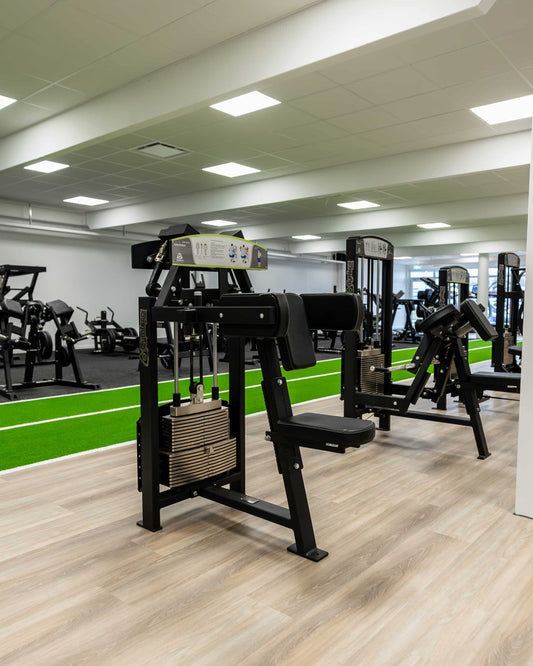 331 Shoulder Rotation