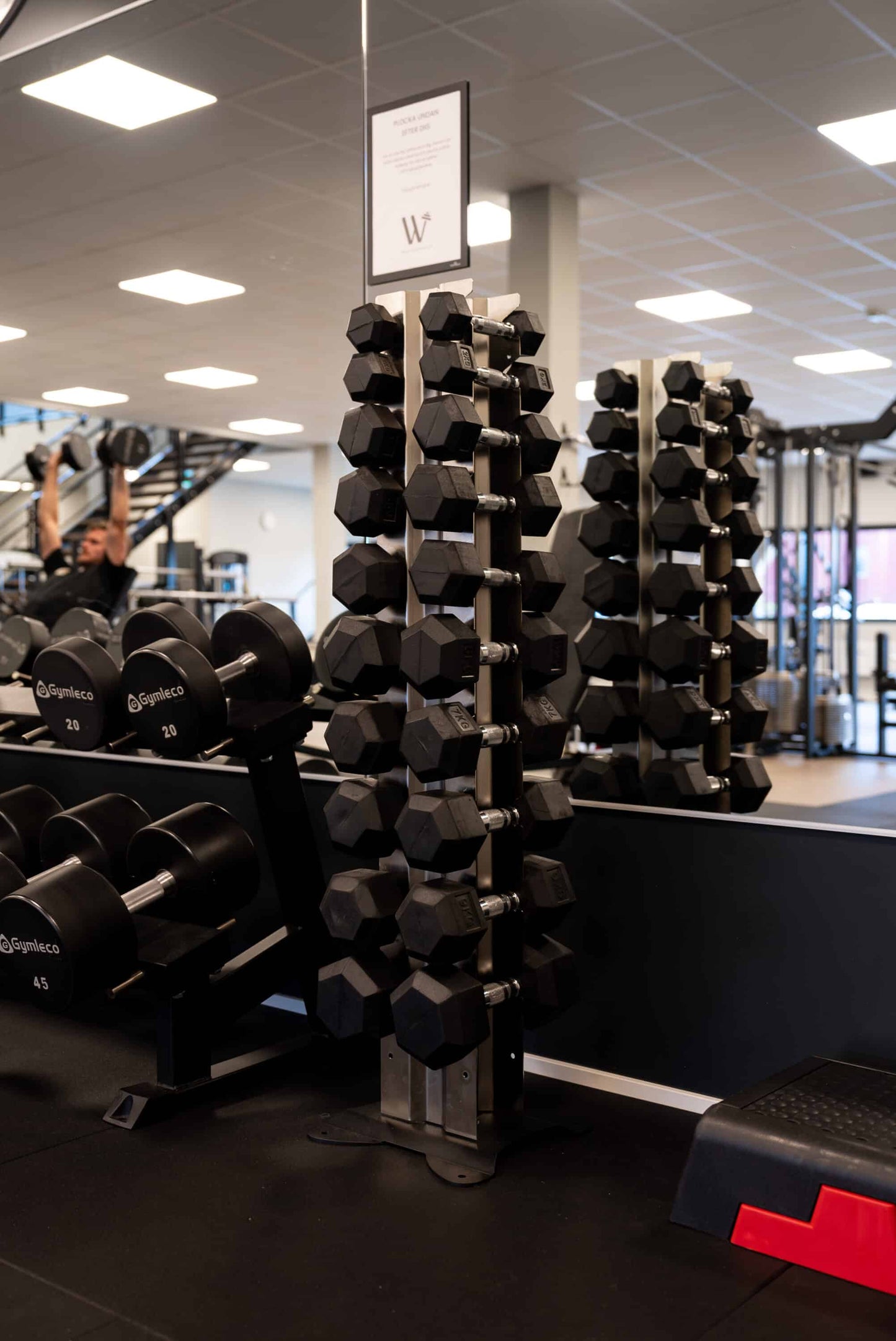 Hex Dumbbells 1-35 kg