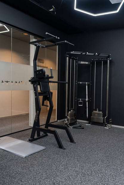 Leglift with Chins and Dips