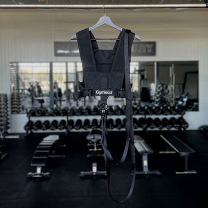 harness for sled with ropes