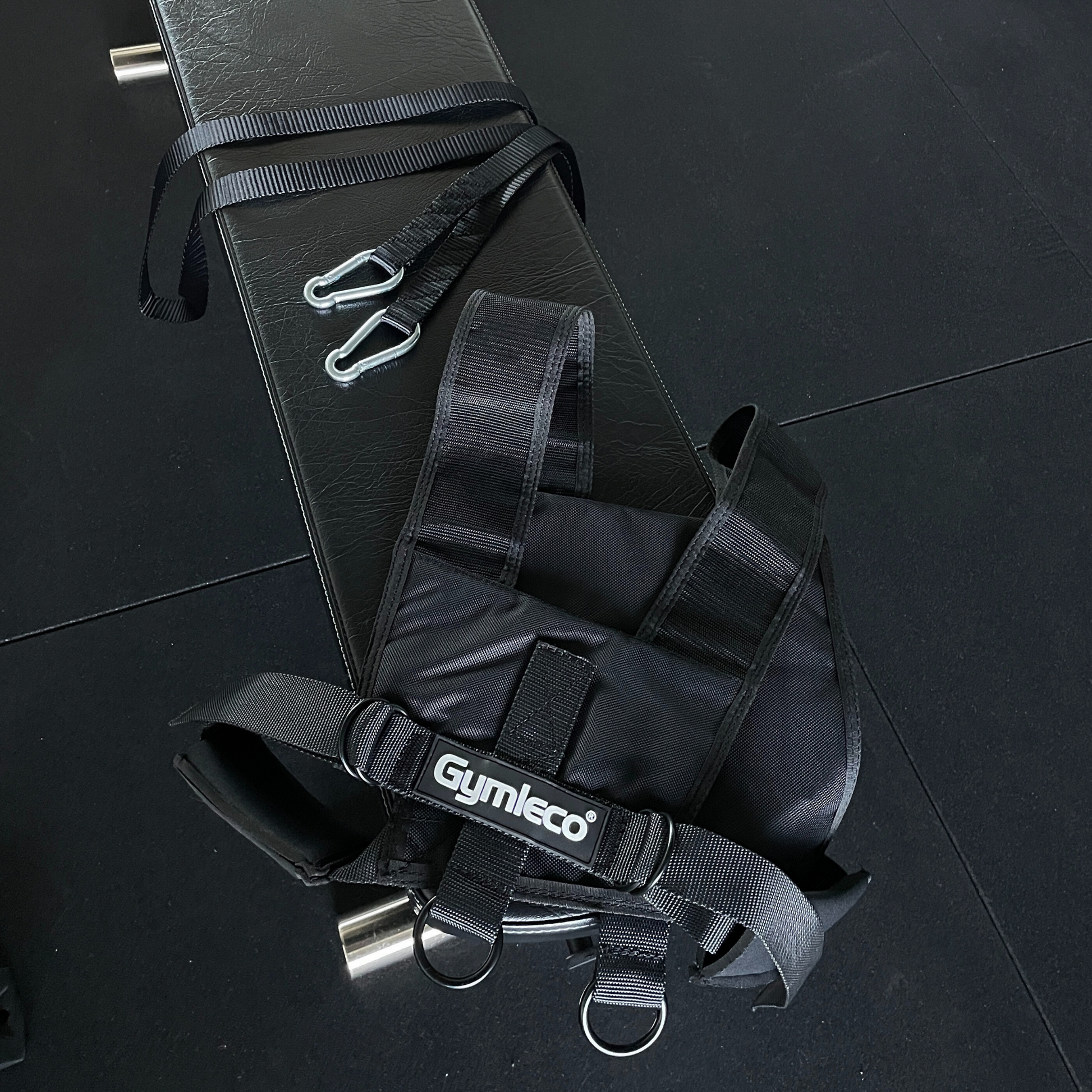 harness for sled with ropes