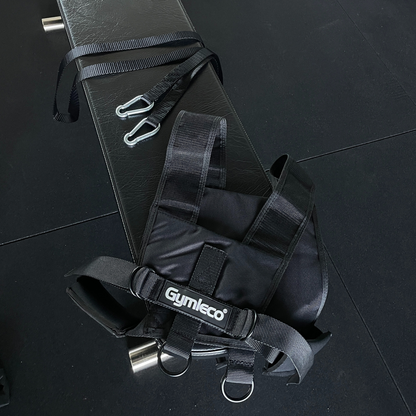 harness for sled with ropes