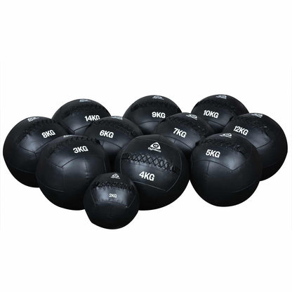 Wall Balls (2-14 kg)