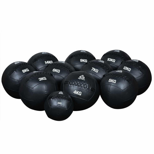 Wall Balls (2-14 kg)