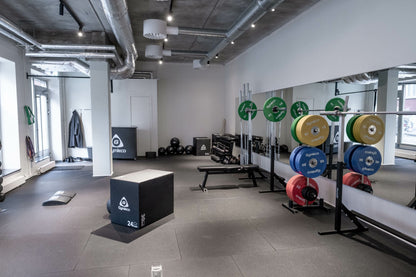 Colored Weight Plates in Rubber