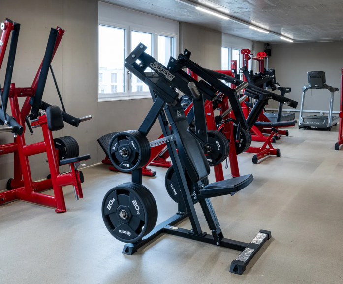 Genesis Gym