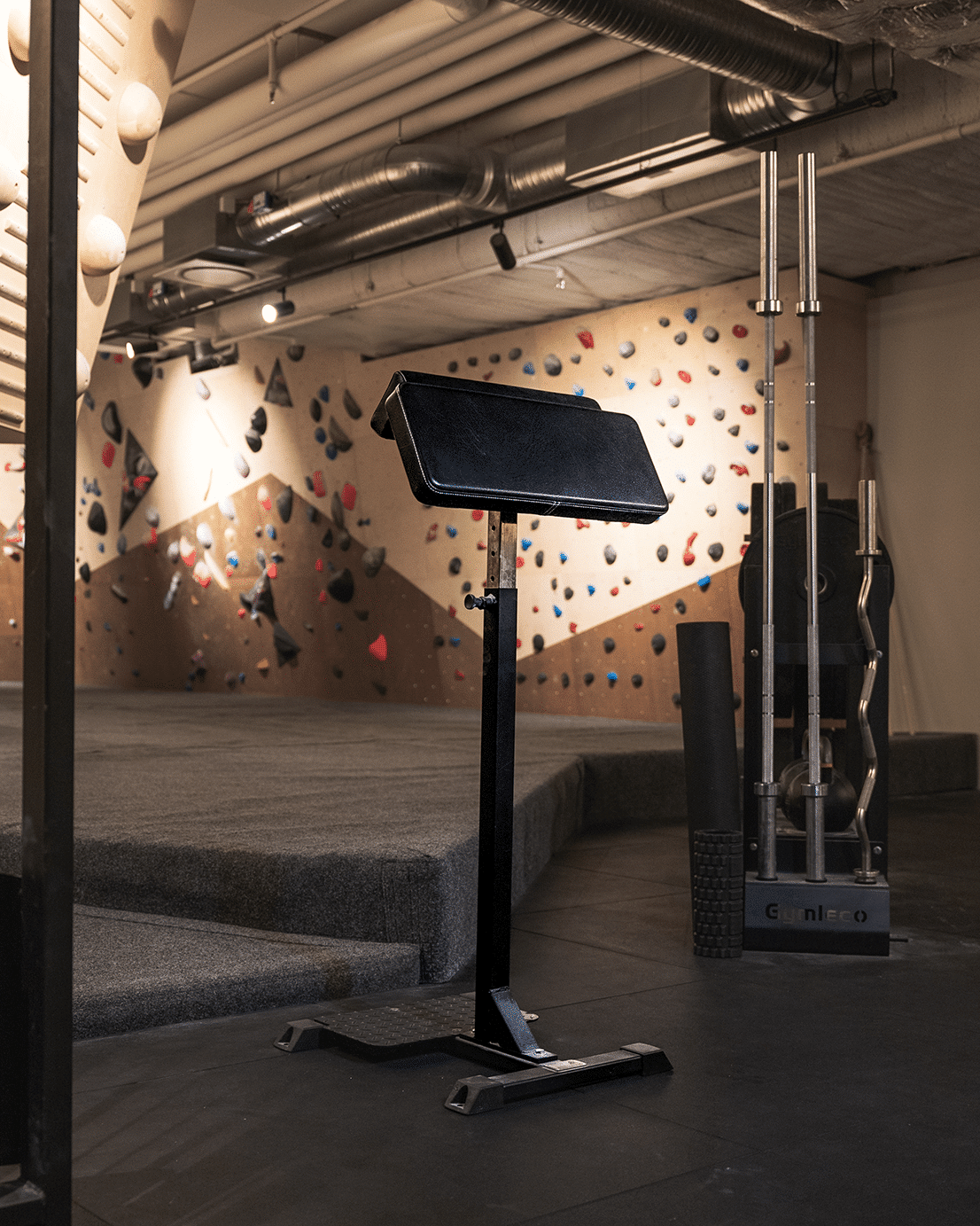 Standing Scott Curl Bench